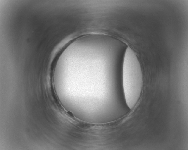 X0000082720294200701261037