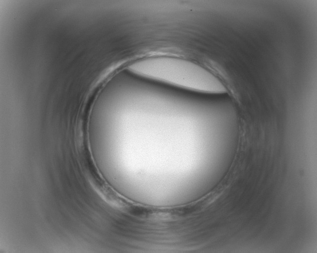 X0000082720298200701261037