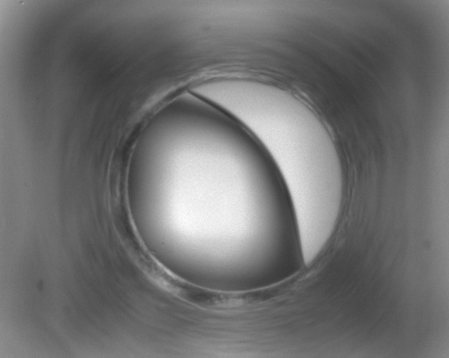 X0000082720301200701261037