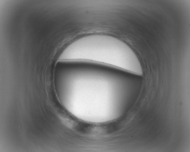 X0000082720303200701261037