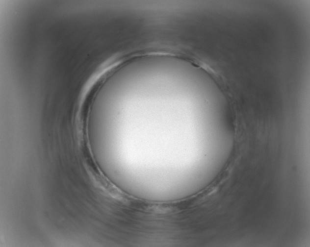 X0000082720343200701261035