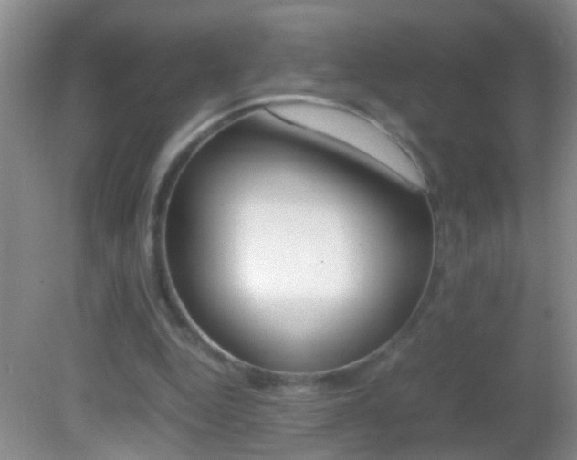 X0000082720344200701261035