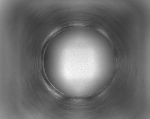 X0000082720349200701261035