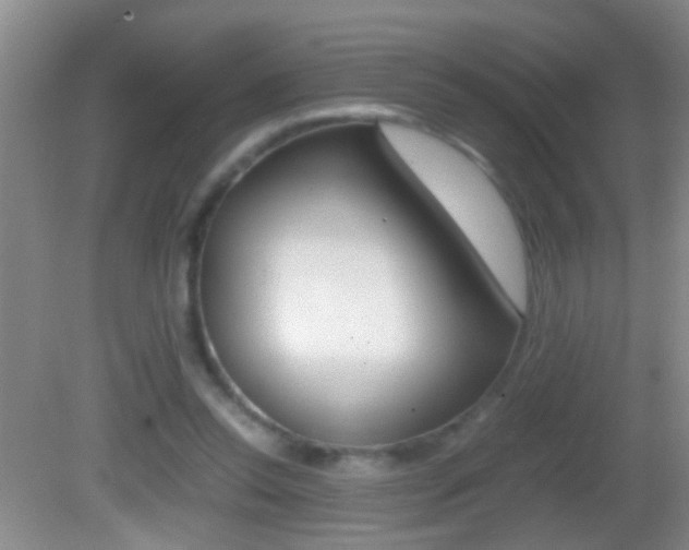 X0000082720350200701261035