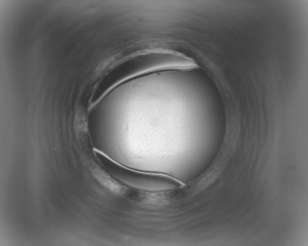 X0000082720384200701261036