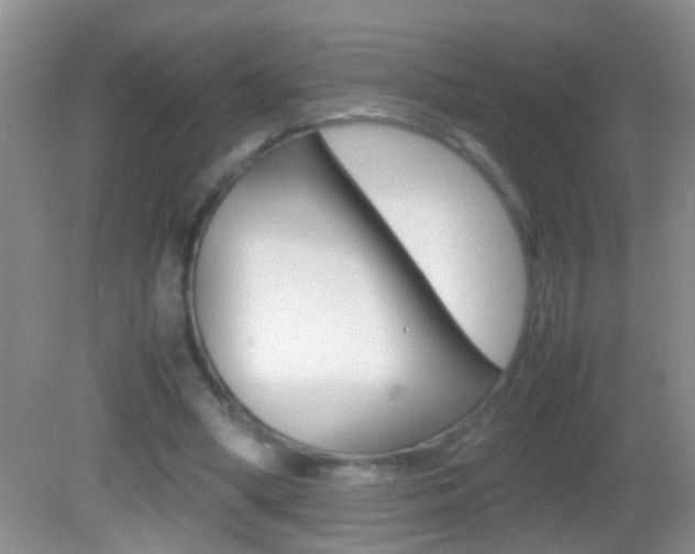 X0000082720394200701261035