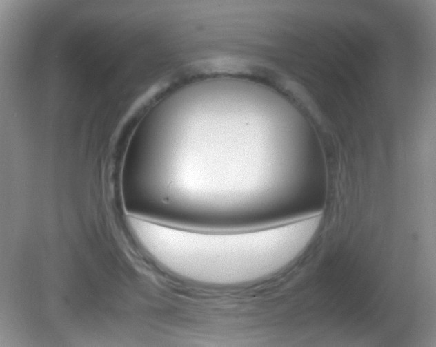 X0000082720395200701261035