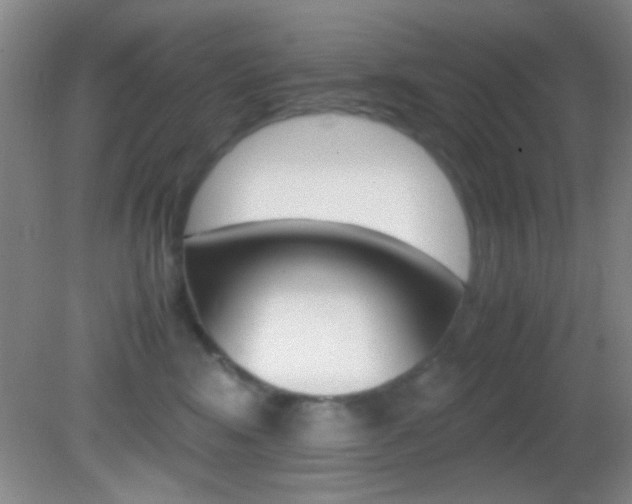 X0000082720424200701261035
