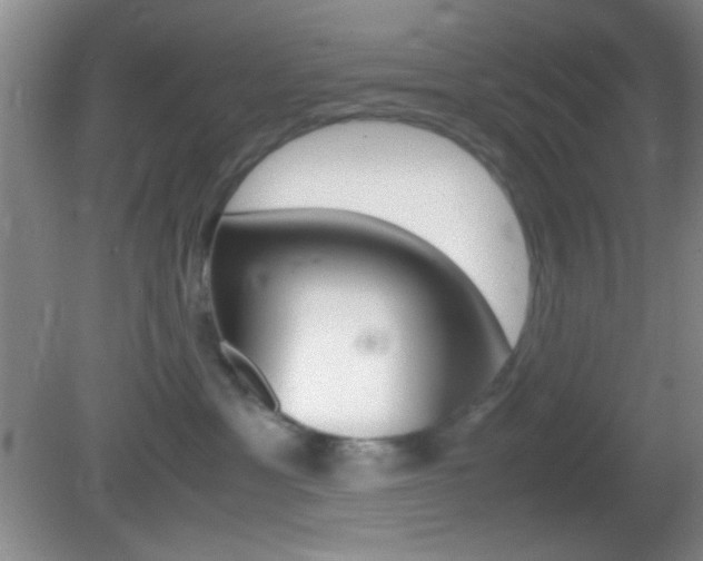 X0000082720429200701261034