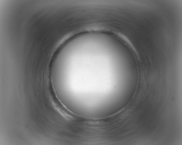 X0000082720439200701261034