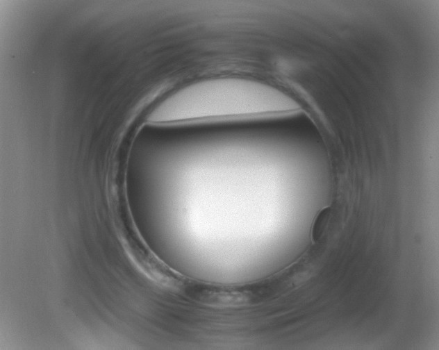 X0000082720443200701261034