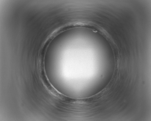 X0000082720444200701261034
