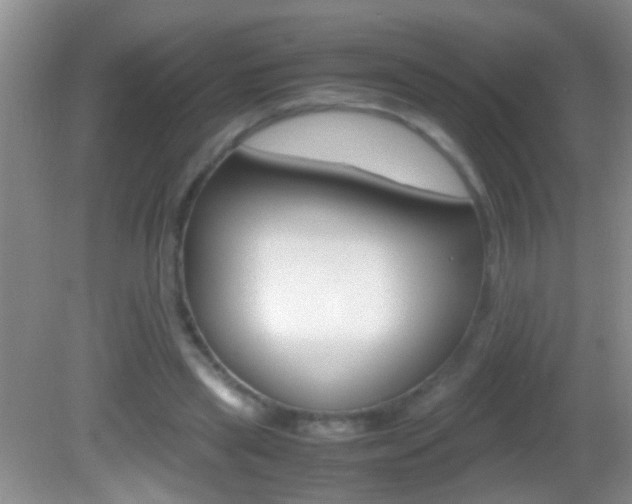 X0000082720445200701261034