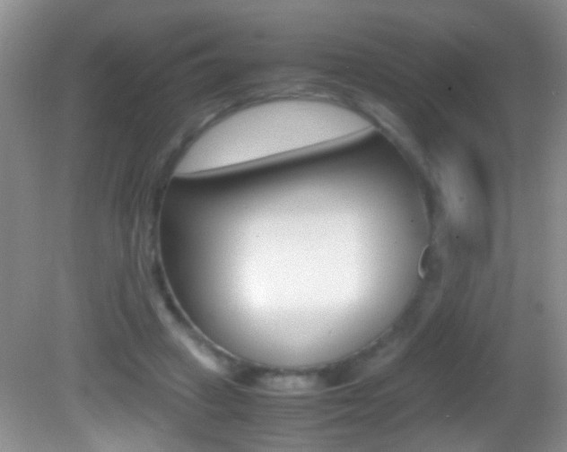 X0000082720449200701261034