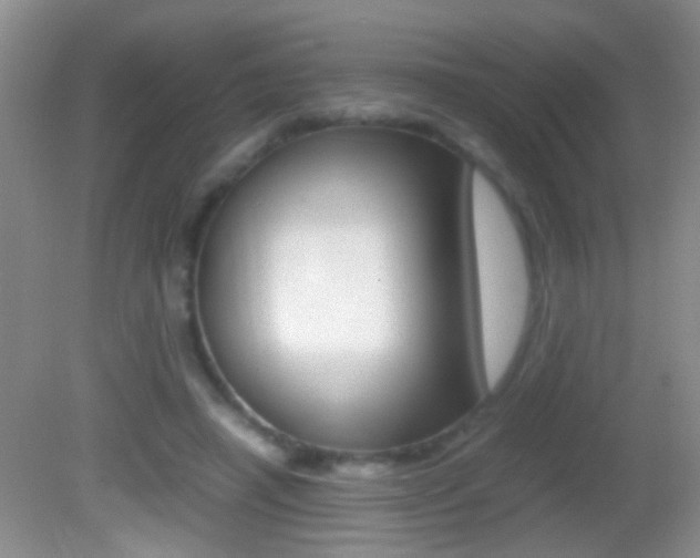 X0000082720450200701261034