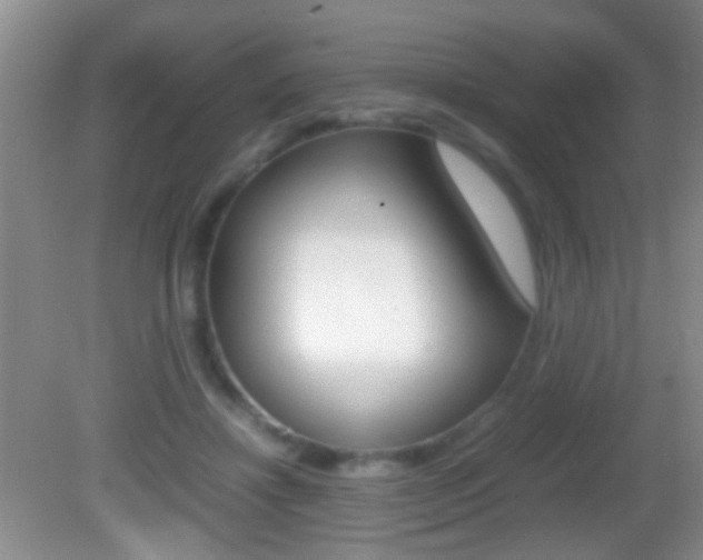 X0000082720452200701261034