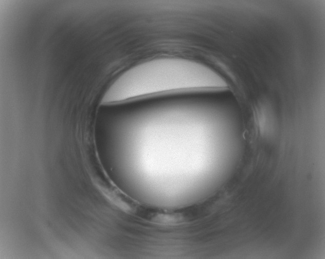 X0000082720455200701261034