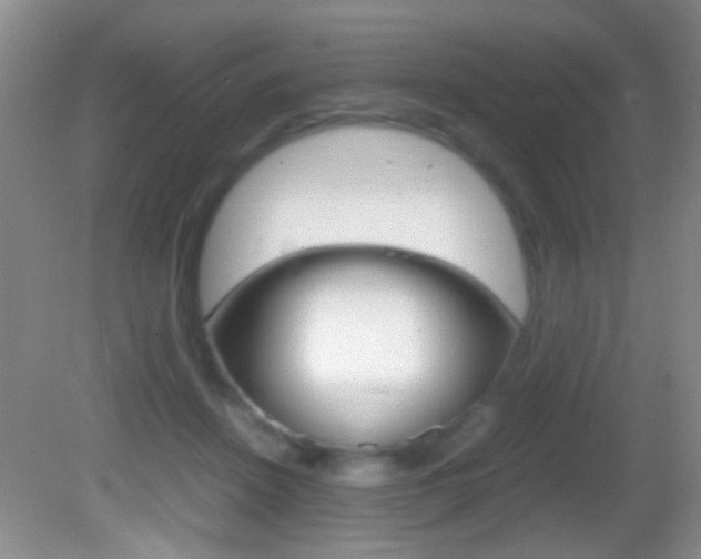 X0000082720456200701261034