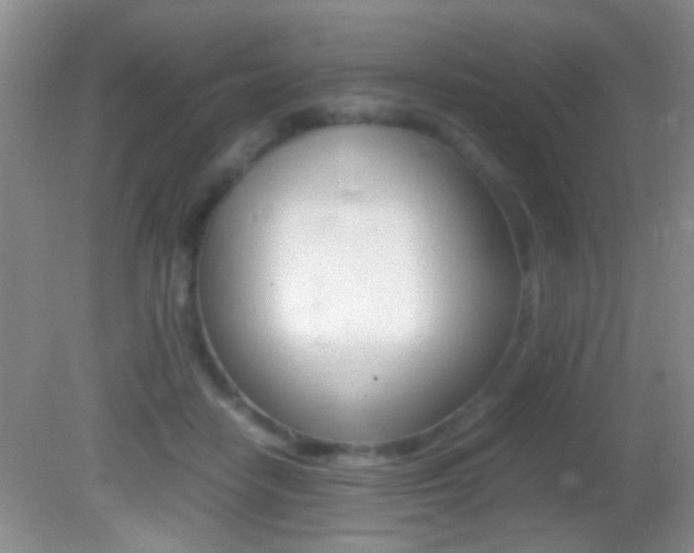 X0000082720458200701261034