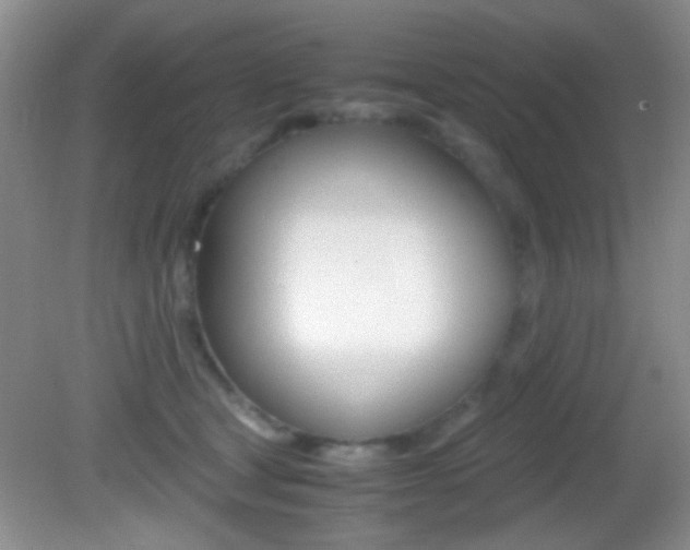 X0000082720465200701261034