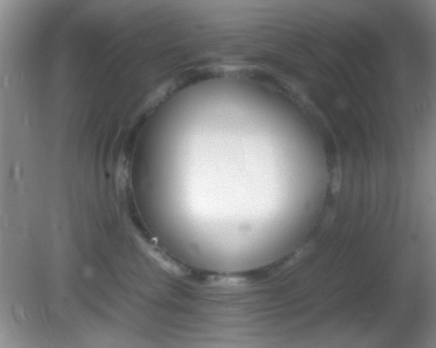X0000082720476200701261034