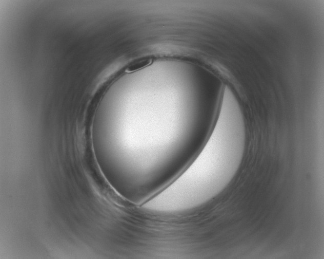 X0000082720488200701261033
