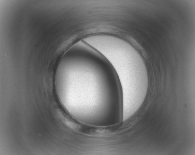 X0000082720493200701261033