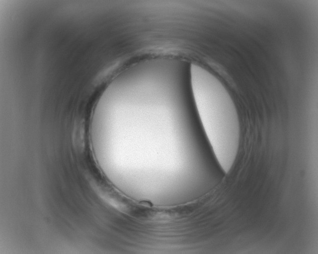 X0000082720494200701261033
