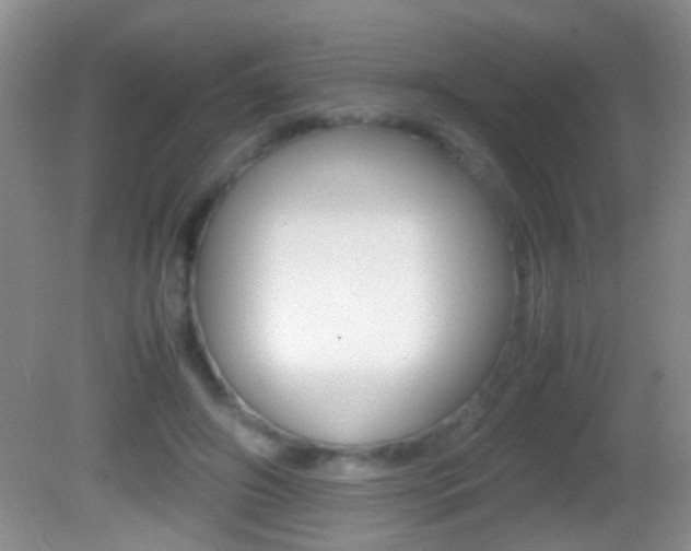 X0000082720498200701261033