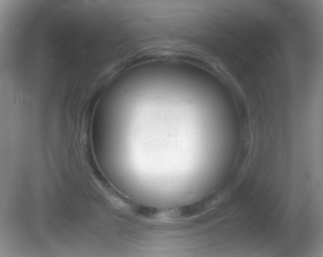 X0000082720505200701261033