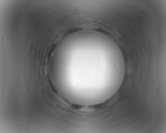 X0000082720515200701261033