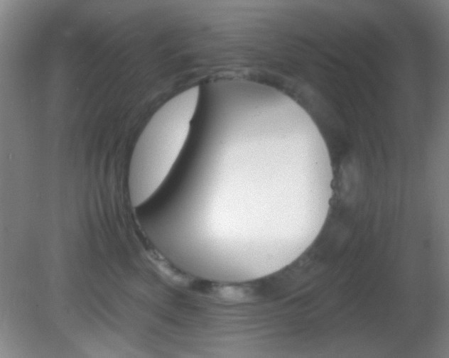 X0000082720522200701261033