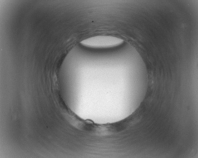 X0000082720523200701261033