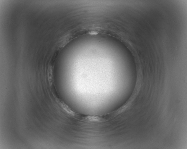 X0000082720528200701261033