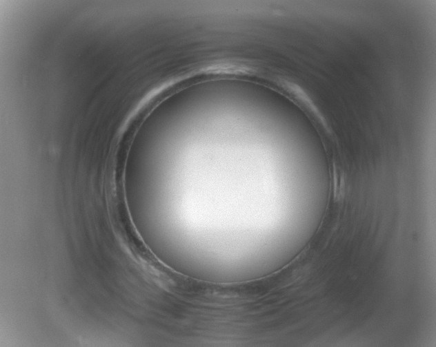 X0000082720531200701261032
