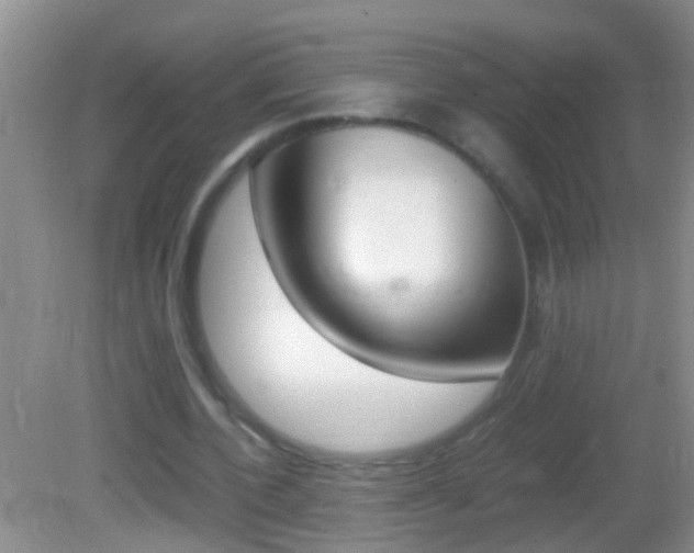 X0000082720532200701261032
