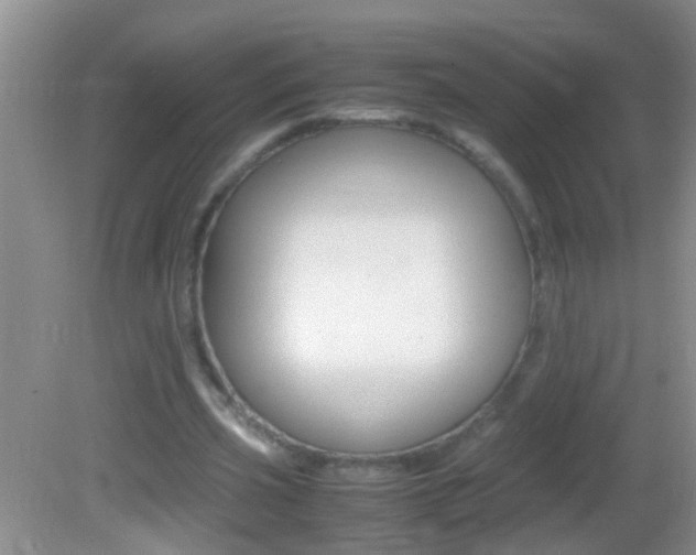 X0000082720533200701261032