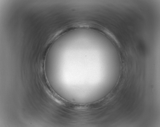 X0000082720537200701261032