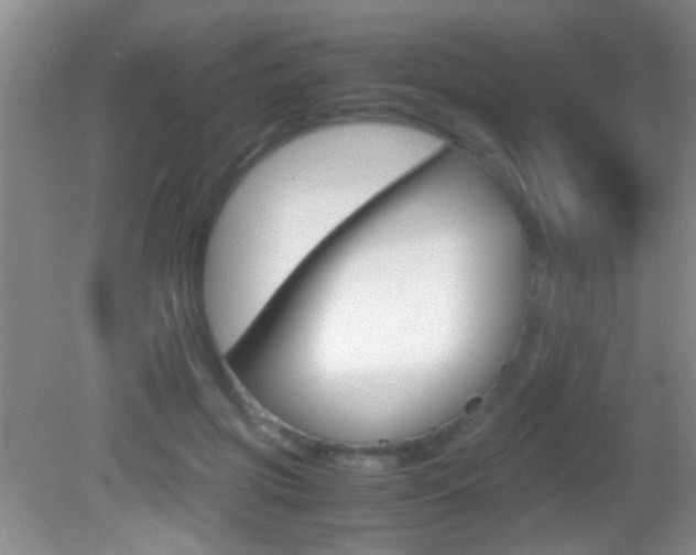 X0000082720549200701261032