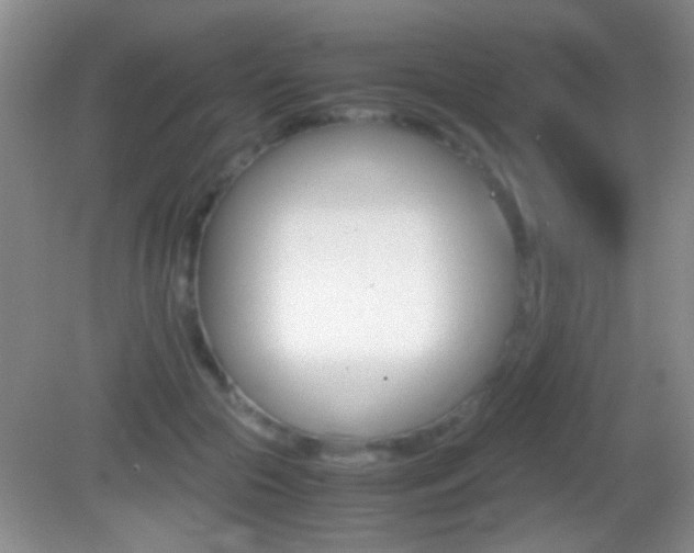 X0000082720553200701261032