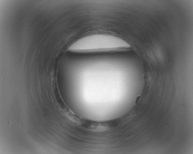 X0000082720559200701261033