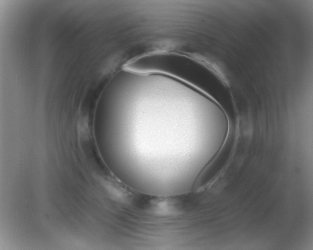 X0000082720564200701261033