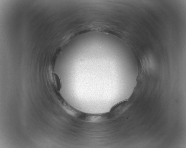 X0000082720575200701261033