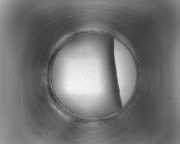X0000082720578200701261032