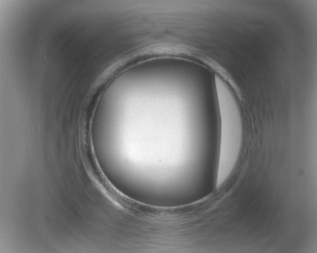 X0000082720581200701261032