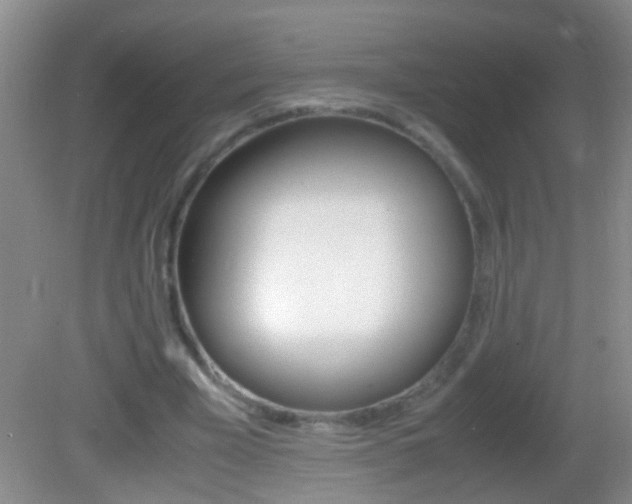 X0000082720585200701261032
