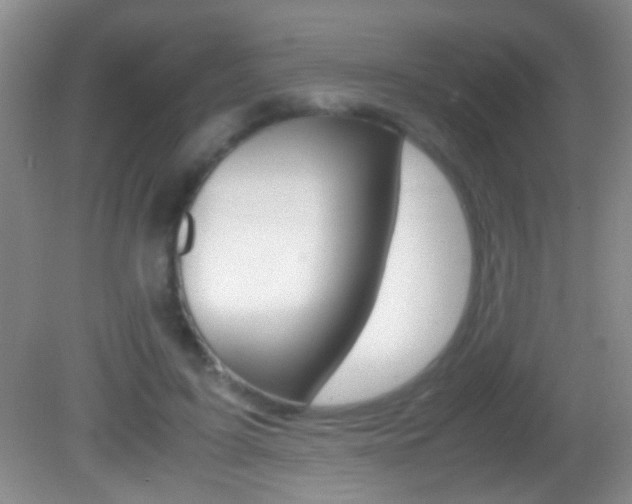 X0000082720595200701261032