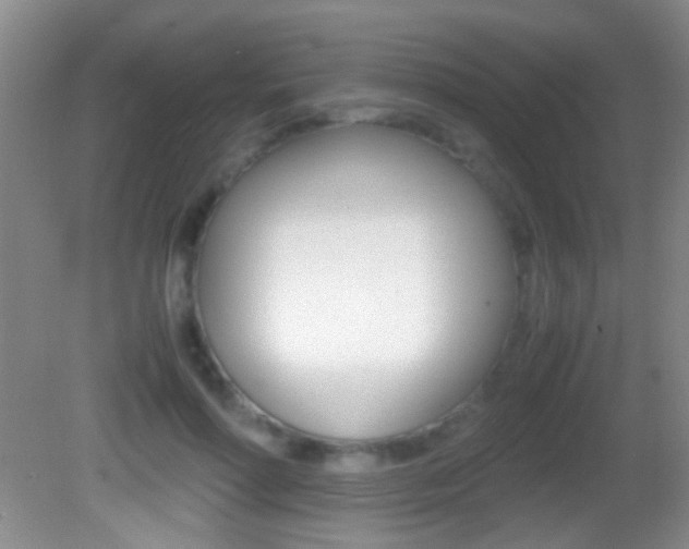 X0000082720598200701261032
