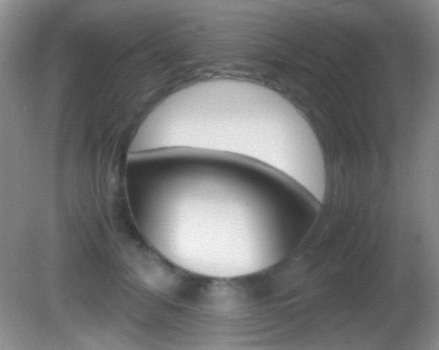X0000082720608200701261031