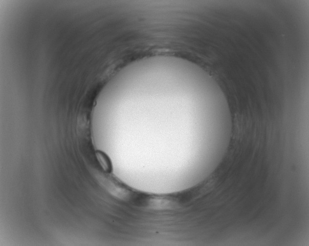 X0000082720614200701261031